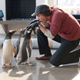 Illustration for article titled The trailer for emMr. Poppers Penguins/em: Scientifically formulated to provide the CGI-animals-dancing-to-Vanilla-Ice todays kids need